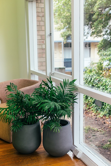 vinyl-windows-and-indoor-plants-Gilbert-AZ